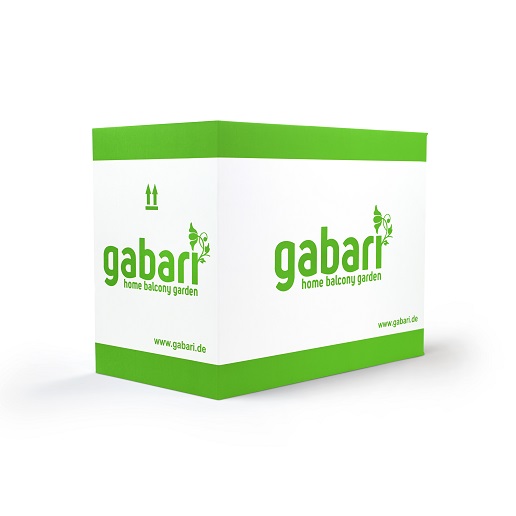 gabari-bio-Ver-II